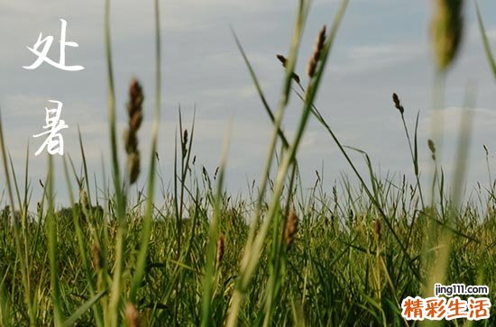 2024处暑是哪天 2024年处暑上香祈福吉利吗