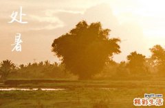 2024年处暑是具体哪一天 2024年处暑举办成人仪式合适吗