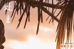 2024年今年处暑是几月几号 这天是什么星座星期几