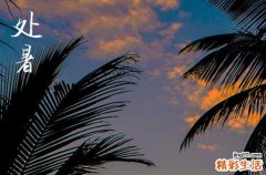 处暑2024年是几月几日星期几 2024处暑交驰好吗