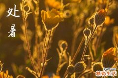 处暑是2024的几月几日 2024处暑这天宜做什么