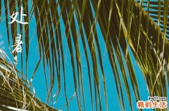 2024年处暑是多少号 2024处暑是黄道吉日吗