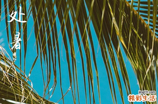 2024年处暑是多少号 2024处暑是黄道吉日吗