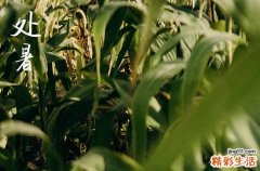 2024年处暑农历时间 2024年8月22日处暑这天修坟好吗