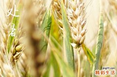 2024处暑是哪天 2024年处暑修理坟墓吉利吗