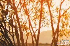 2024年处暑农历时间 2024年处暑是修筑堤坝吉日吗