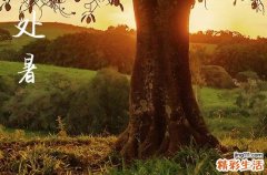 2024年处暑是什么时候时间 2024年处暑可以修路吗