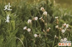 2024处暑是农历哪一天 2024年8月22日处暑当天入土好吗