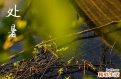 2024年处暑时间是什么时候 2024年8月22日处暑这天宜入宅吗