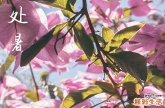 2024年处暑是具体哪一天 2024处暑是黄道吉日吗