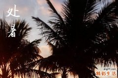 2024年处暑是哪一天 2024年8月22日处暑这天养狗好吗