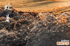 2024年处暑是几月几日 2024处暑当天可以分居吗