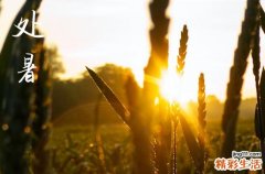 2024年处暑是什么时候时间 2024年处暑弄制作房梁好吗