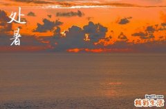 2024年处暑是什么时候时间 2024年8月22日处暑是制作狗窝吉日吗