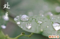 2024处暑是哪一天 2024年处暑是剃头吉日吗