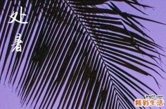 2024处暑是哪一天 2024处暑那天剖腹产好不好