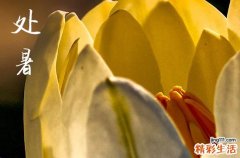 2024年农历几号处暑 2024年处暑剪指甲可以吗