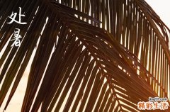2024年什么时候处暑 2024处暑办寿宴好吗