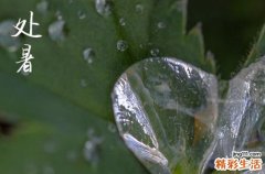 处暑是几月几号2024年 2024年处暑是合嵴吉日吗