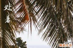 2024年处暑农历时间 2024年8月22日是处暑