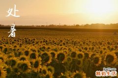 處暑是2024的幾月幾日 2024年處暑開工好不好