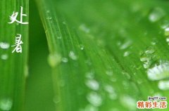 2024年处暑时间是什么时候 2024年处暑打农药合适吗
