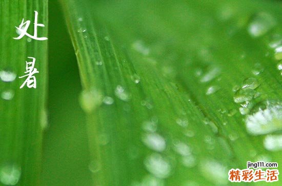 2024年处暑时间是什么时候 2024年处暑打农药合适吗