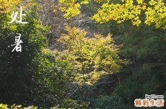 2024年处暑是什么时候时间 2024年8月22日处暑这天宜打扫卫生吗