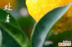 2024年处暑是什么时候时间 2024处暑那天拆卸好吗