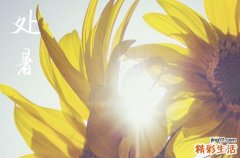 2024年处暑是具体哪一天 2024年处暑拆墙吉利吗