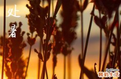 2024年处暑时间是什么时候 2024年处暑拆房行不行