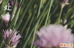 处暑是几月几号2024年 2024年8月22日是处暑