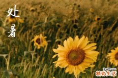 2024年农历几号处暑 2024年处暑弄招聘好不好