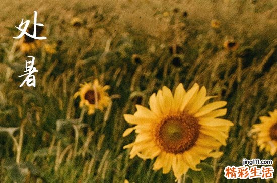 2024年农历几号处暑 2024年处暑弄招聘好不好