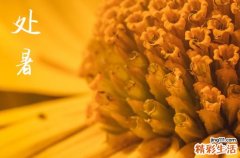 2024年處暑是哪一天 2024年處暑能拜觀音求子嗎