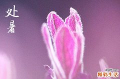 2024年处暑是什么时候时间 2024年8月22日处暑当天挖掘池塘好吗