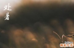 2024年農(nóng)歷幾號處暑 2024處暑是黃道吉日嗎