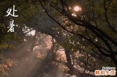 2024年處暑是幾點幾分幾秒 2024年處暑搭雞窩吉利嗎