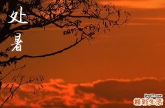 2024年处暑农历时间 2024年处暑斋醮行吗