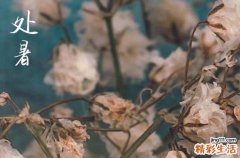 2024处暑是农历哪一天 2024年处暑能栽种吗