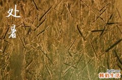 處暑是2024的幾月幾日 2024年處暑弄殯葬可以嗎