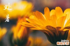 2024年处暑几月几日 2024年处暑理头吉利吗