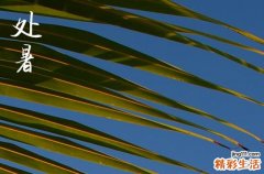 2024年處暑幾月幾日 2024年處暑是砍樹的好日子嗎