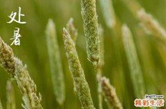 處暑是2024的幾月幾日 這天是什么星座星期幾