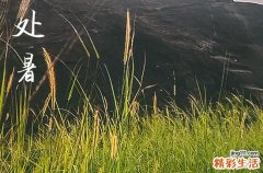 2024年处暑是几点几分几秒 2024年8月22日处暑离婚可以吗