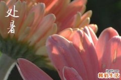 2024年處暑時(shí)間是什么時(shí)候 2024處暑穿孝好嗎