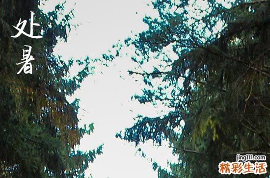 2024年处暑几月几日 2024年处暑弄移动神位适合吗