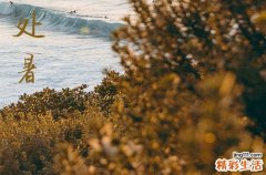 2024年農(nóng)歷幾號(hào)處暑 2024年8月22日處暑這天宜移柩嗎