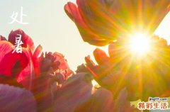 2024年處暑是幾點(diǎn)幾分幾秒 2024年8月22日處暑這天立牌匾好嗎