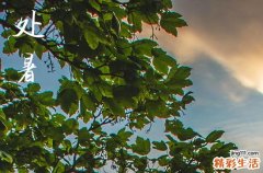 2024年農(nóng)歷幾號處暑 2024年處暑弄結(jié)婚宴可以嗎